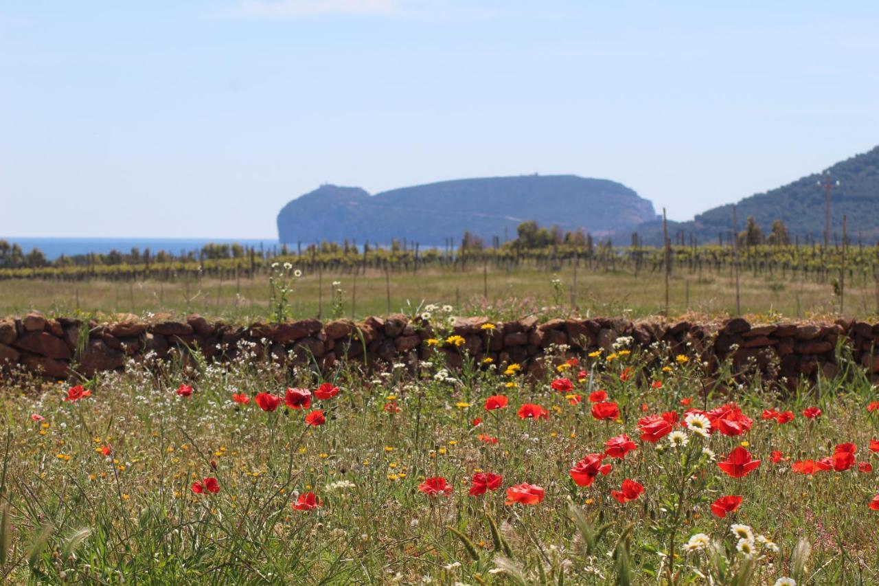 Agriturismo Graziano E Barbara Порто Конте Екстериор снимка