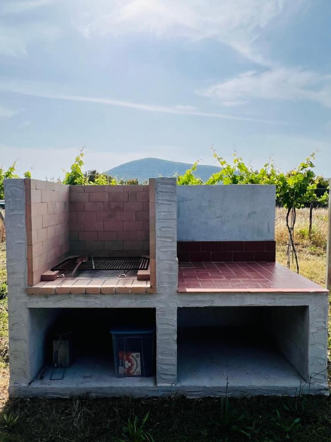 Agriturismo Graziano E Barbara Порто Конте Екстериор снимка