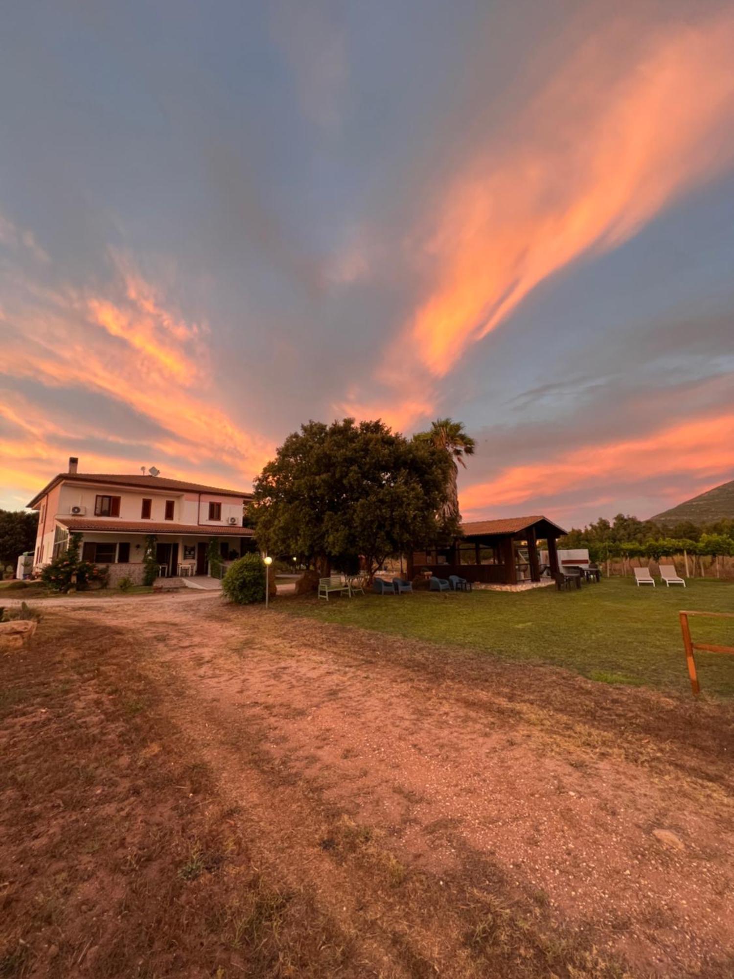 Agriturismo Graziano E Barbara Порто Конте Екстериор снимка
