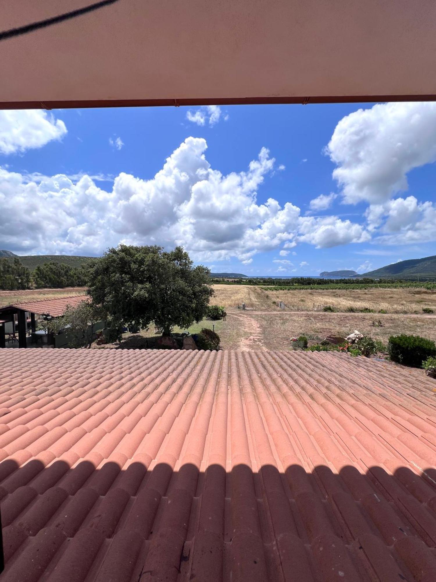 Agriturismo Graziano E Barbara Порто Конте Екстериор снимка