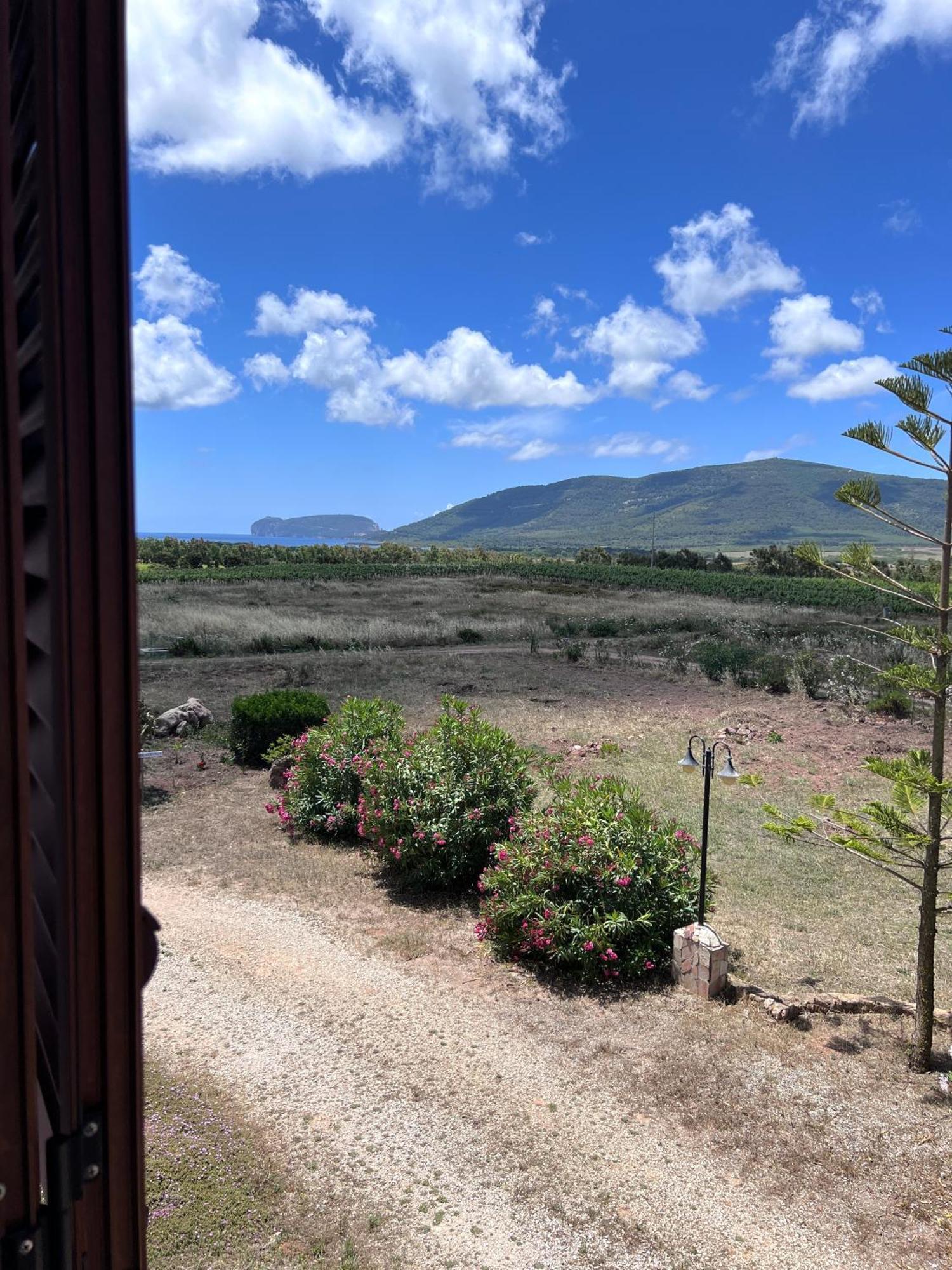 Agriturismo Graziano E Barbara Порто Конте Екстериор снимка